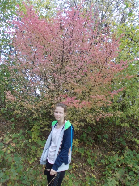 Daugavpils BJC Jaunība