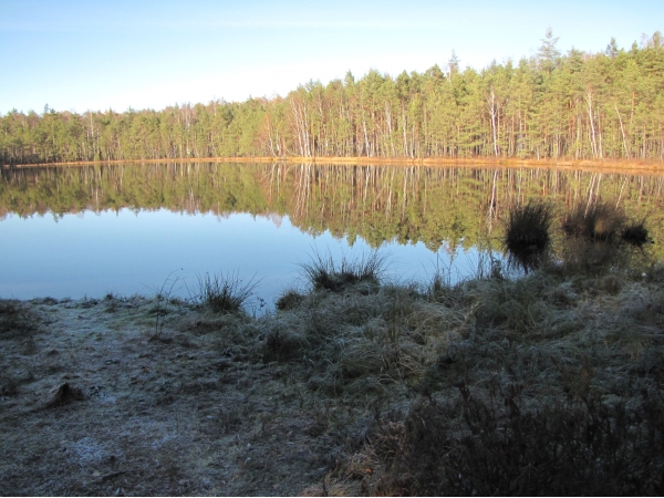 Daugavpils BJC Jaunība