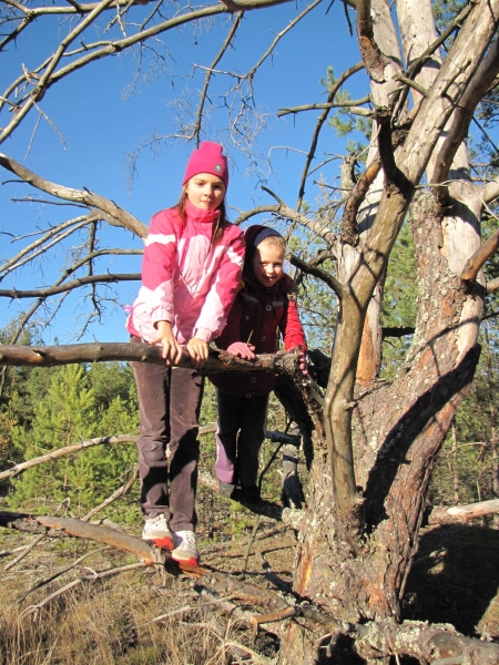 Daugavpils BJC Jaunība