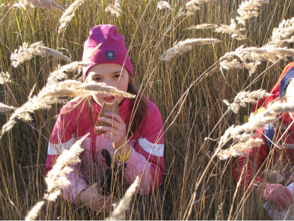 Daugavpils BJC Jaunība