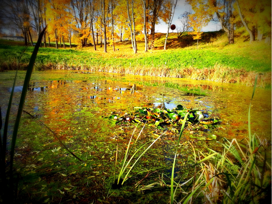 Daugavpils BJC Jaunība