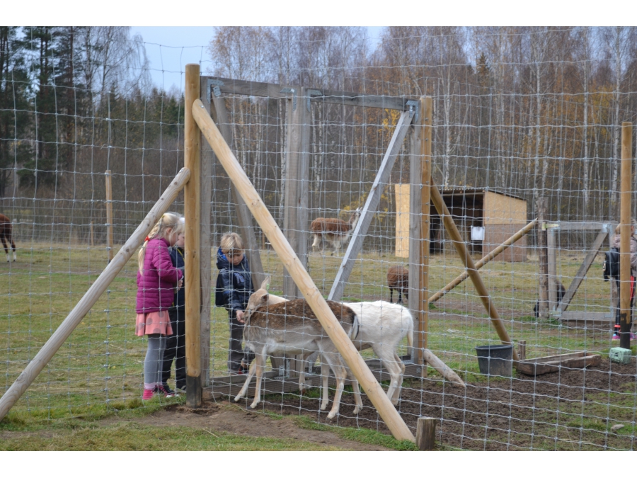 Daugavpils BJC Jaunība