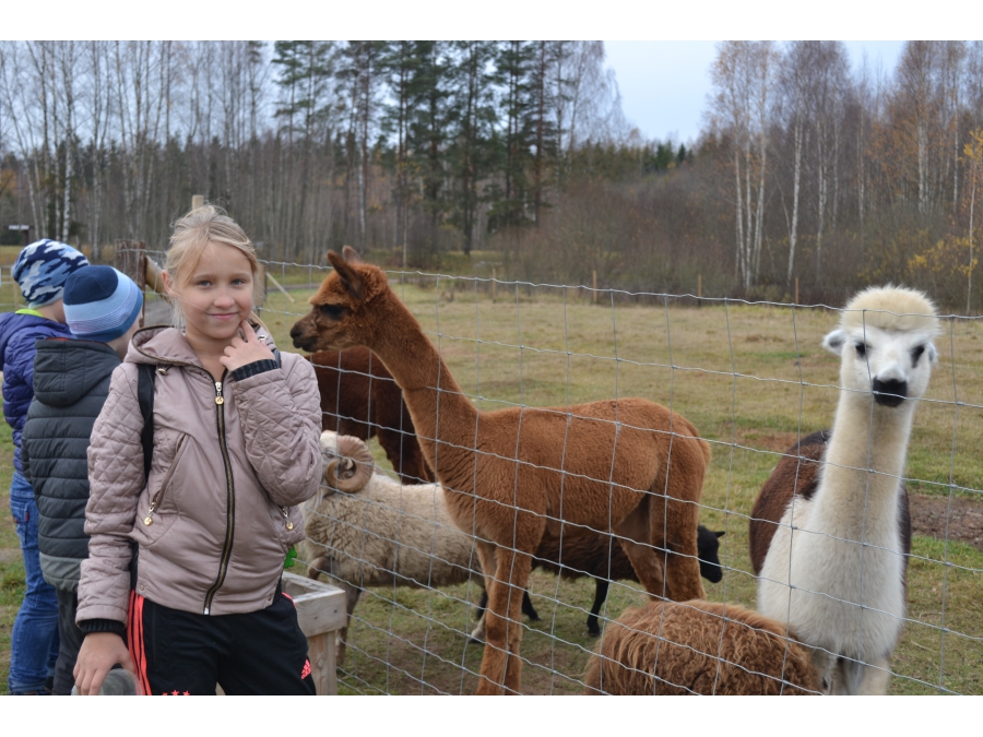 Daugavpils BJC Jaunība